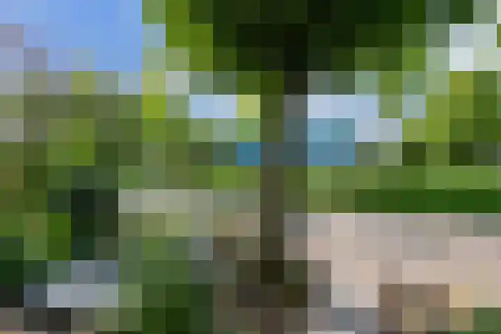 Ridderspoor 3 Hoevelaken thumbnail 41