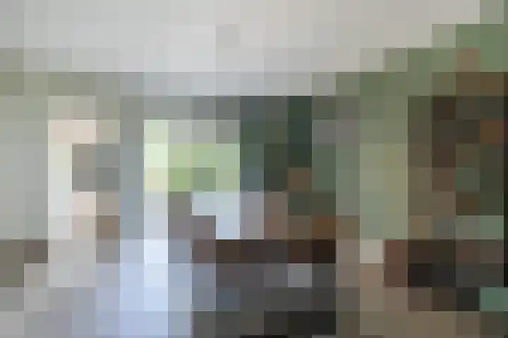 Ridderspoor 3 Hoevelaken thumbnail 5