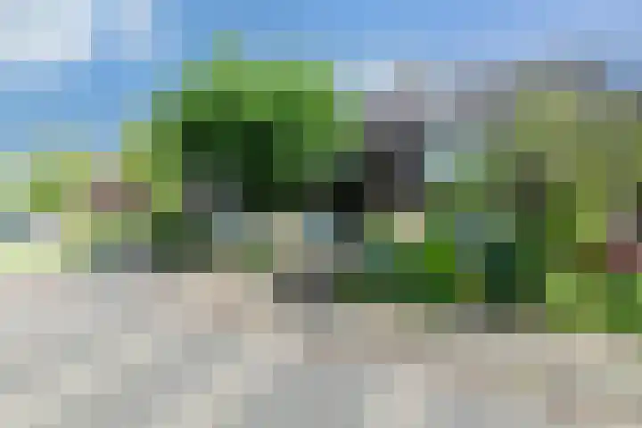 Ridderspoor 3 Hoevelaken thumbnail 54