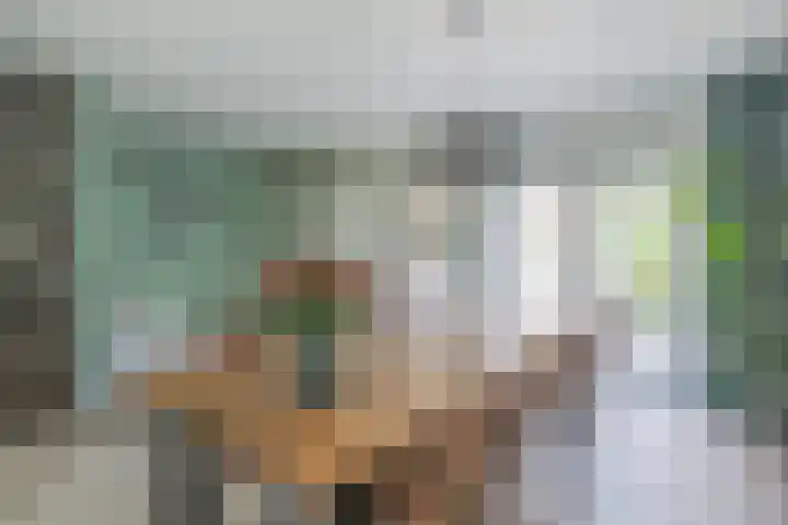 Ridderspoor 3 Hoevelaken thumbnail 6