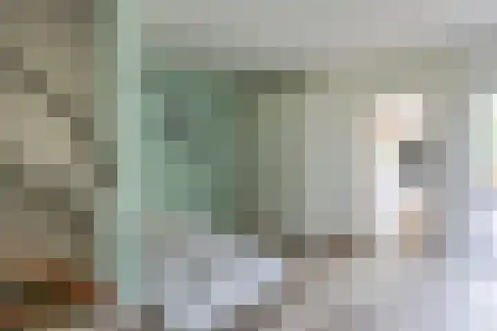 Ridderspoor 3 Hoevelaken thumbnail 7