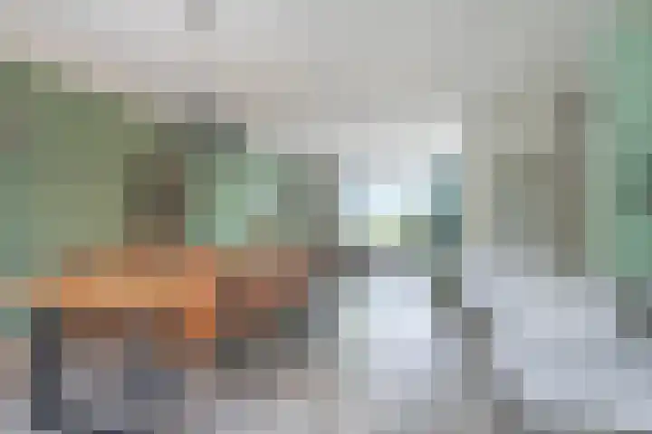 Ridderspoor 3 Hoevelaken thumbnail 8