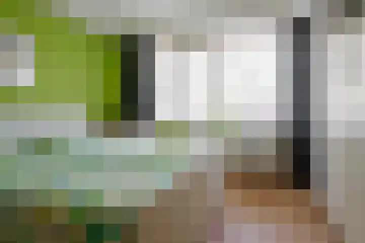 Ridderspoor 32 Borne thumbnail 20