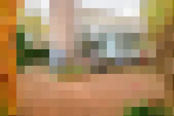 Ridderspoor 32 Borne thumbnail 37