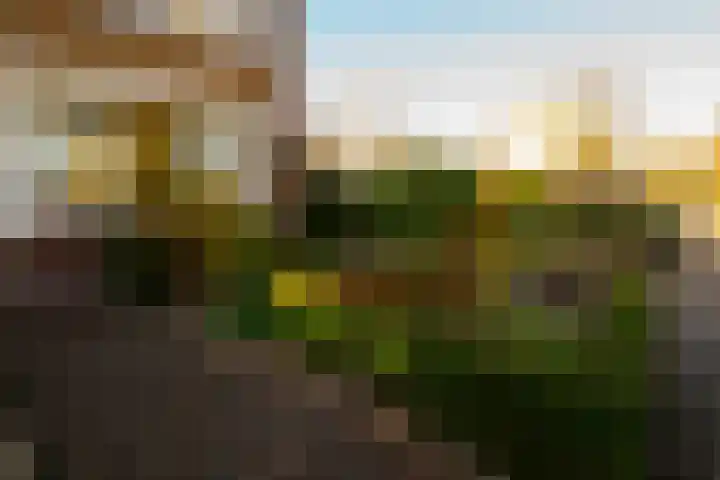 Ridderspoor 32 Borne thumbnail 47
