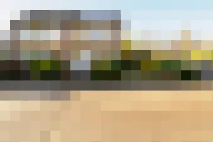 Ridderspoor 32 Borne thumbnail 49