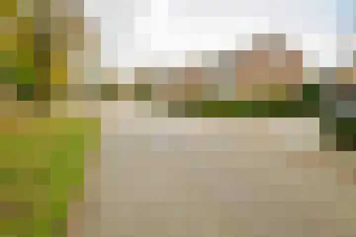 Ridderspoor 32 Borne thumbnail 53