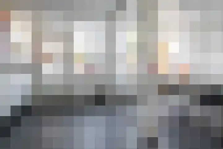 Ridderspoor 32 Borne thumbnail 9