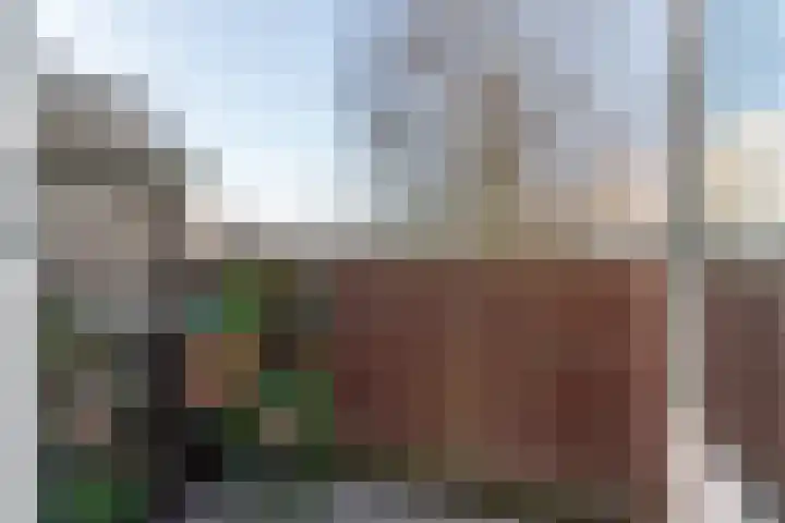 Ridderspoor 41 Nijmegen thumbnail 24