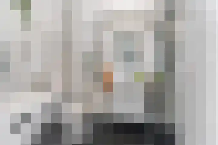 Ridderspoor 41 Nijmegen thumbnail 27
