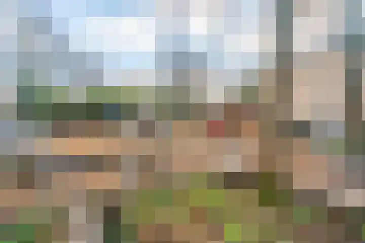 Ridderspoor 41 Nijmegen thumbnail 29