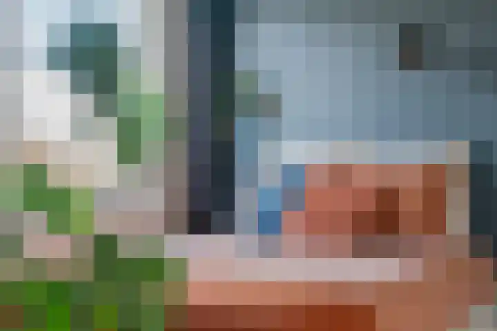 Ridderspoor 41 Nijmegen thumbnail 4
