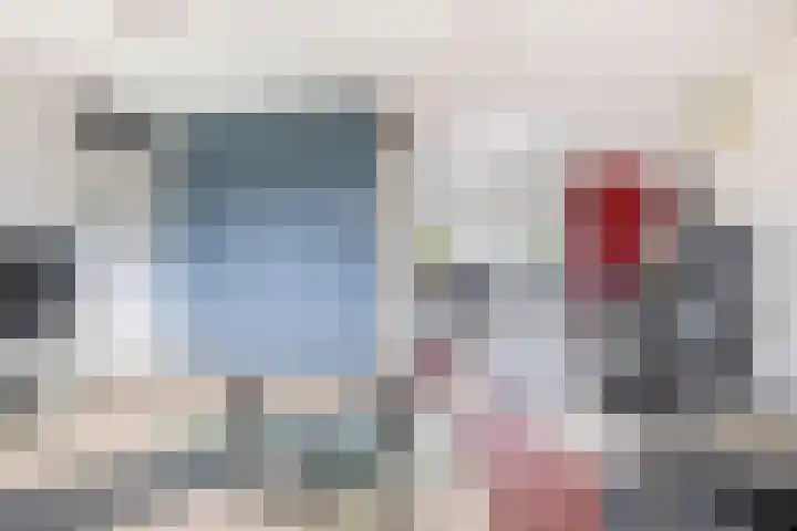 Ridderspoor 5 Zevenbergen thumbnail 12