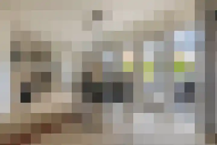 Ridderspoor 5 Zevenbergen thumbnail 14