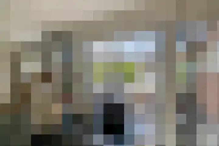 Ridderspoor 5 Zevenbergen thumbnail 17