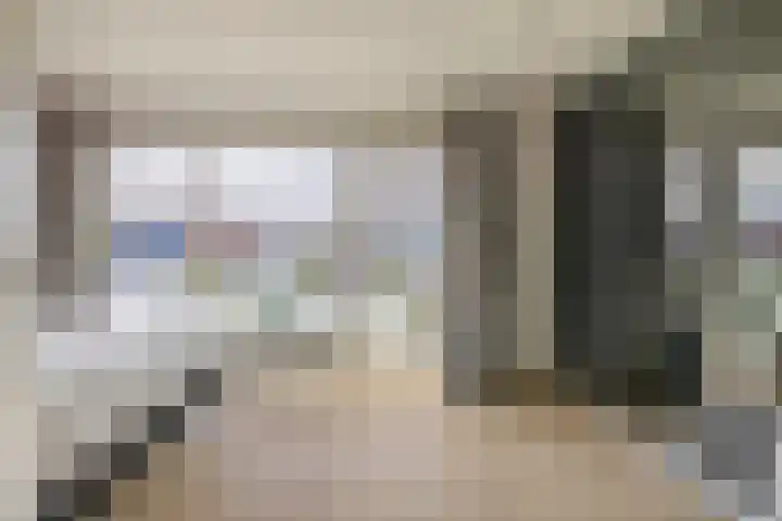 Ridderspoor 5 Zevenbergen thumbnail 25