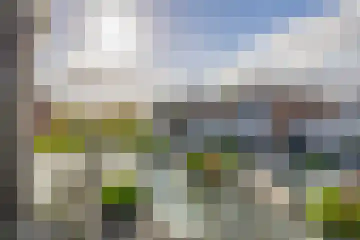 Ridderspoor 5 Zevenbergen thumbnail 36