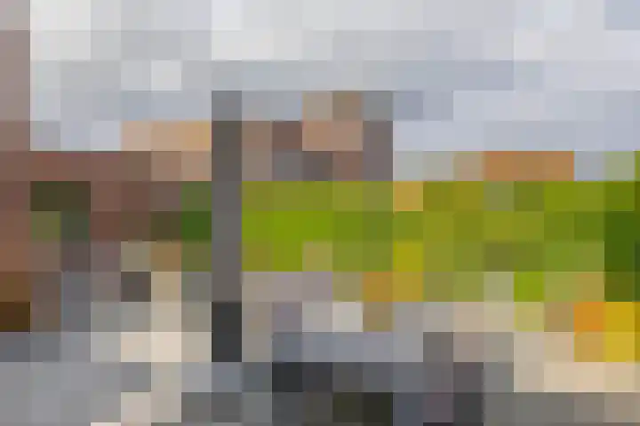 Ridderspoor 5 Zevenbergen thumbnail 37