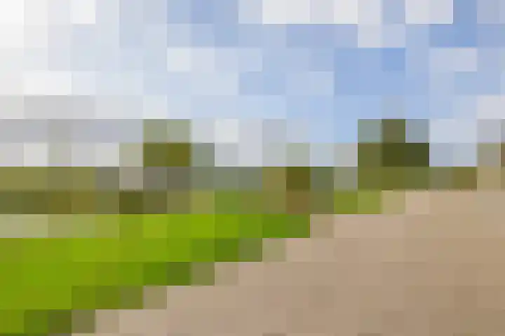 Ridderspoor 5 Zevenbergen thumbnail 39