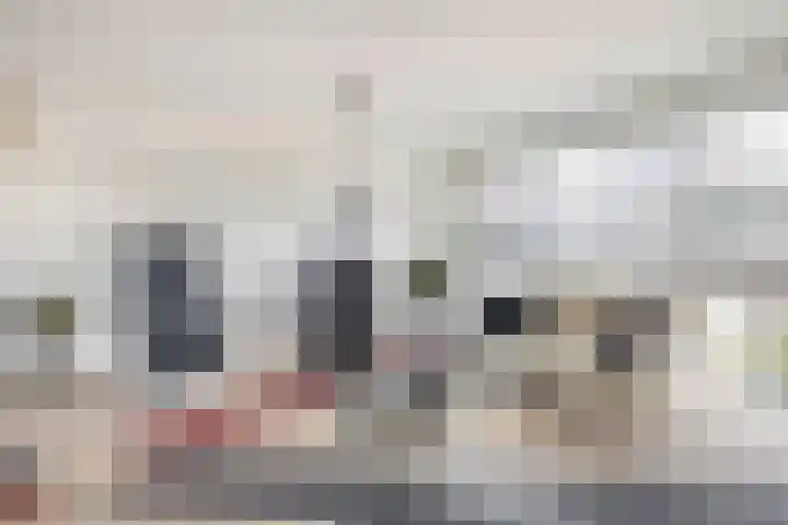 Ridderspoor 5 Zevenbergen thumbnail 4