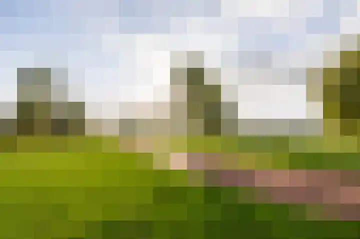 Ridderspoor 5 Zevenbergen thumbnail 41