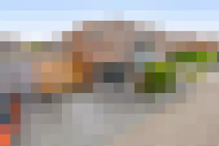 Ridderspoor 5 Zevenbergen thumbnail 5