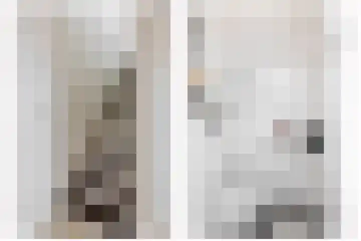 Ridderspoor 5 Zevenbergen thumbnail 8
