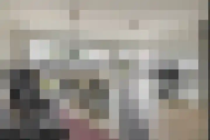 Ridderspoor 5 Zevenbergen thumbnail 9