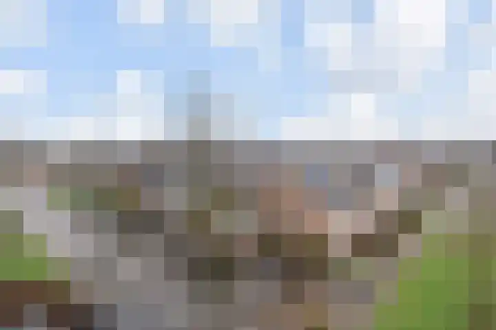 Ridderspoor 56 Nootdorp thumbnail 32