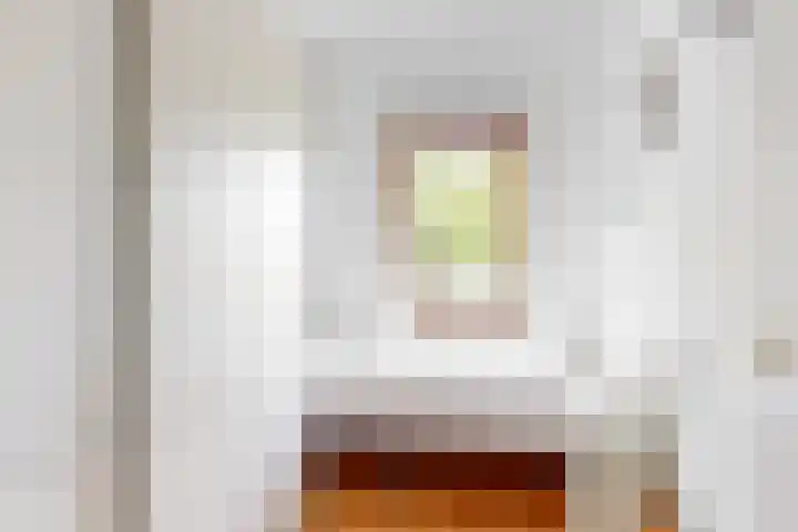 Ridderspoor 58 Zwaag thumbnail 22