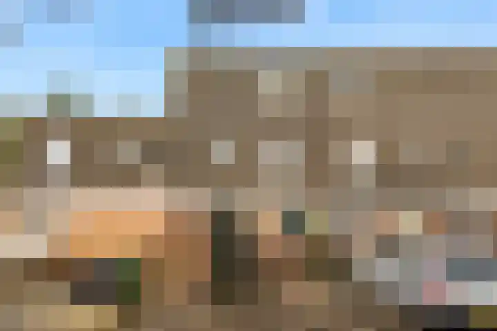 Ridderspoor 58 Zwaag thumbnail 4