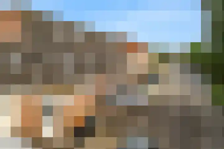 Ridderspoor 58 Zwaag thumbnail 5