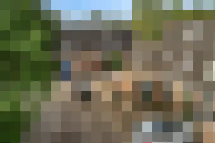 Ridderspoor 58 Zwaag thumbnail 6