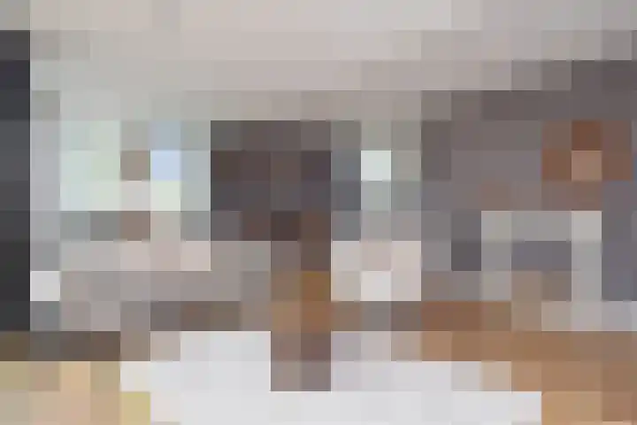 Ridderspoor 8 Nootdorp thumbnail 17