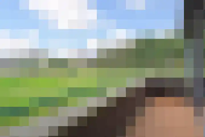 Ridderspoor 8 Nootdorp thumbnail 19