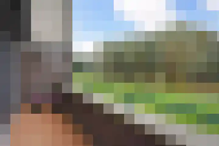 Ridderspoor 8 Nootdorp thumbnail 20