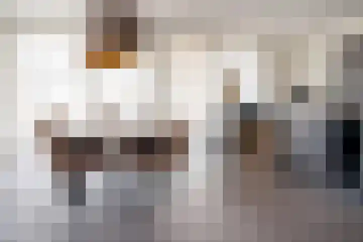 Ridderstee 106 Ouddorp thumbnail 13