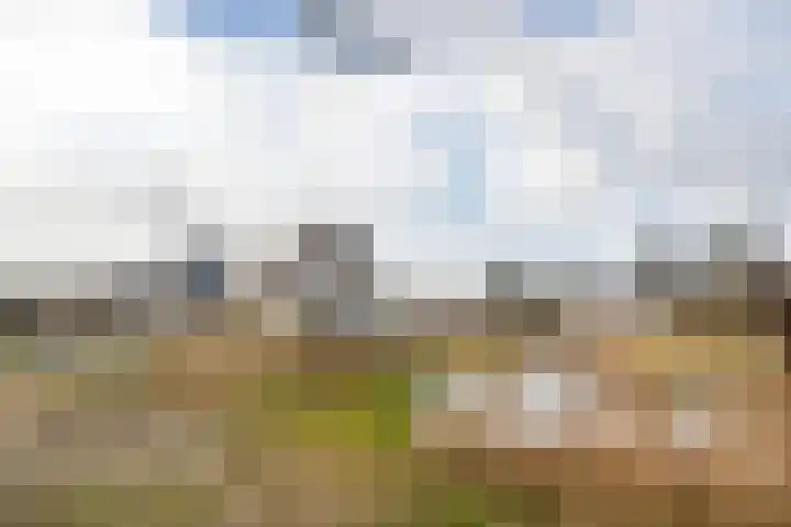 Ridderstee 106 Ouddorp thumbnail 39