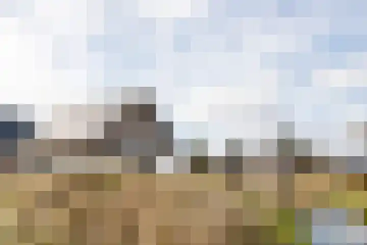 Ridderstee 106 Ouddorp thumbnail 40