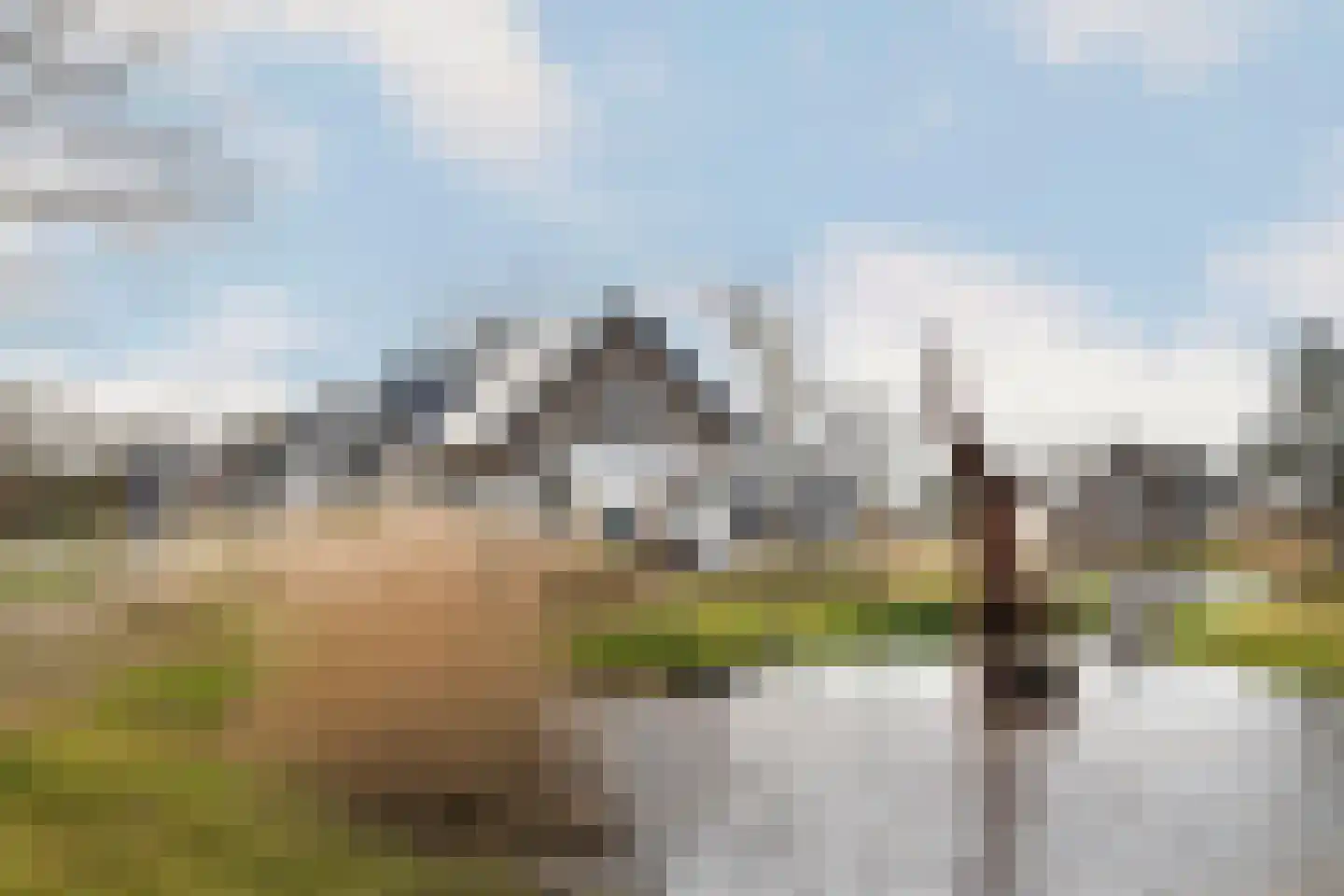Ridderstee 106 Ouddorp thumbnail 44