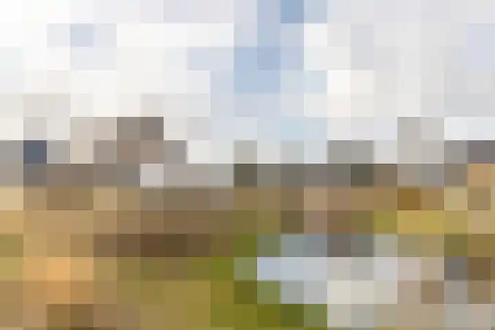 Ridderstee 106 Ouddorp thumbnail 6