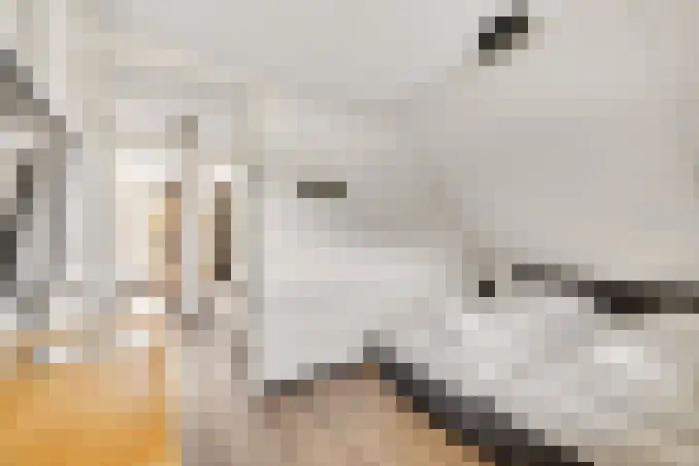 Ridderstee 124 Ouddorp thumbnail 21