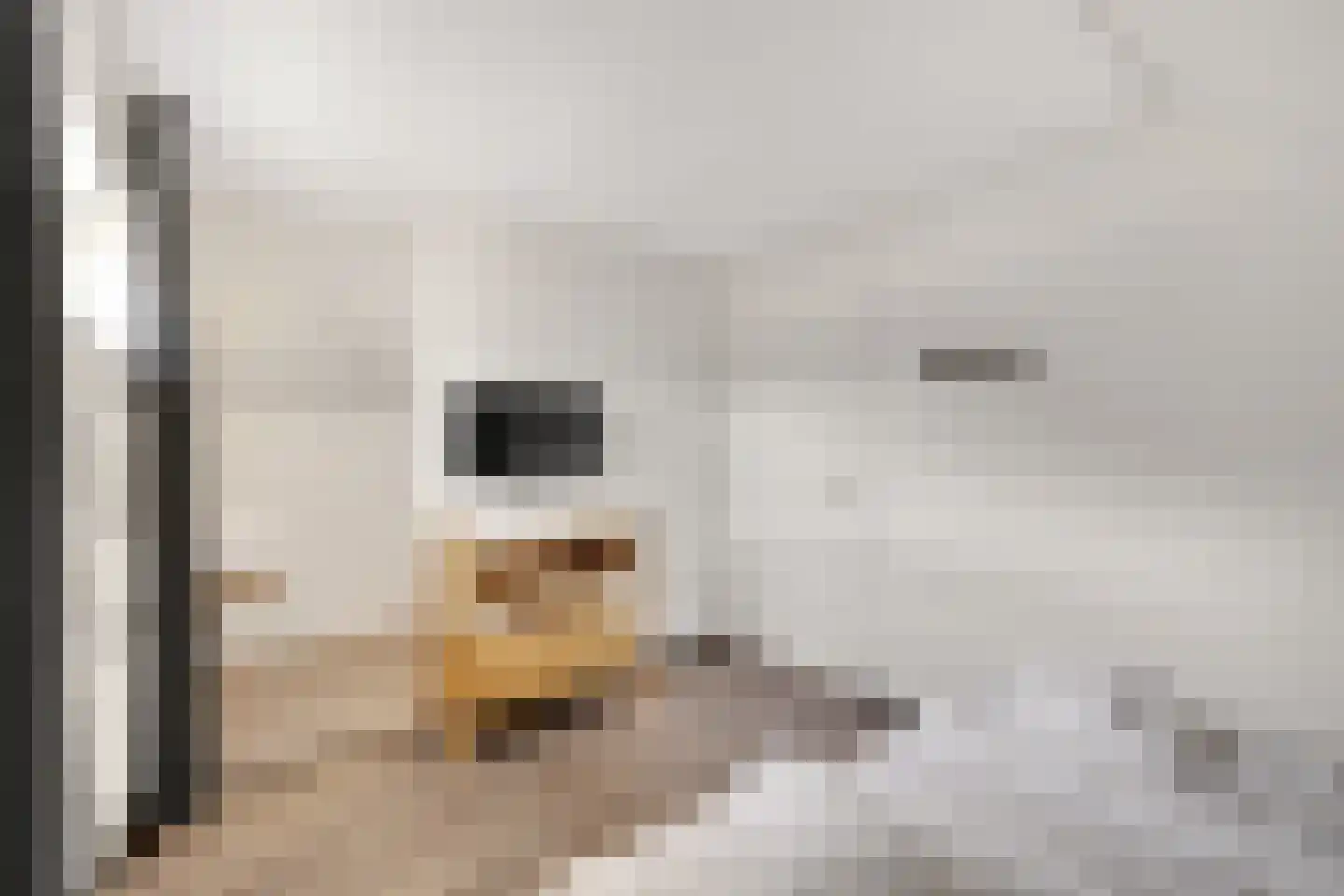 Ridderstee 124 Ouddorp thumbnail 22