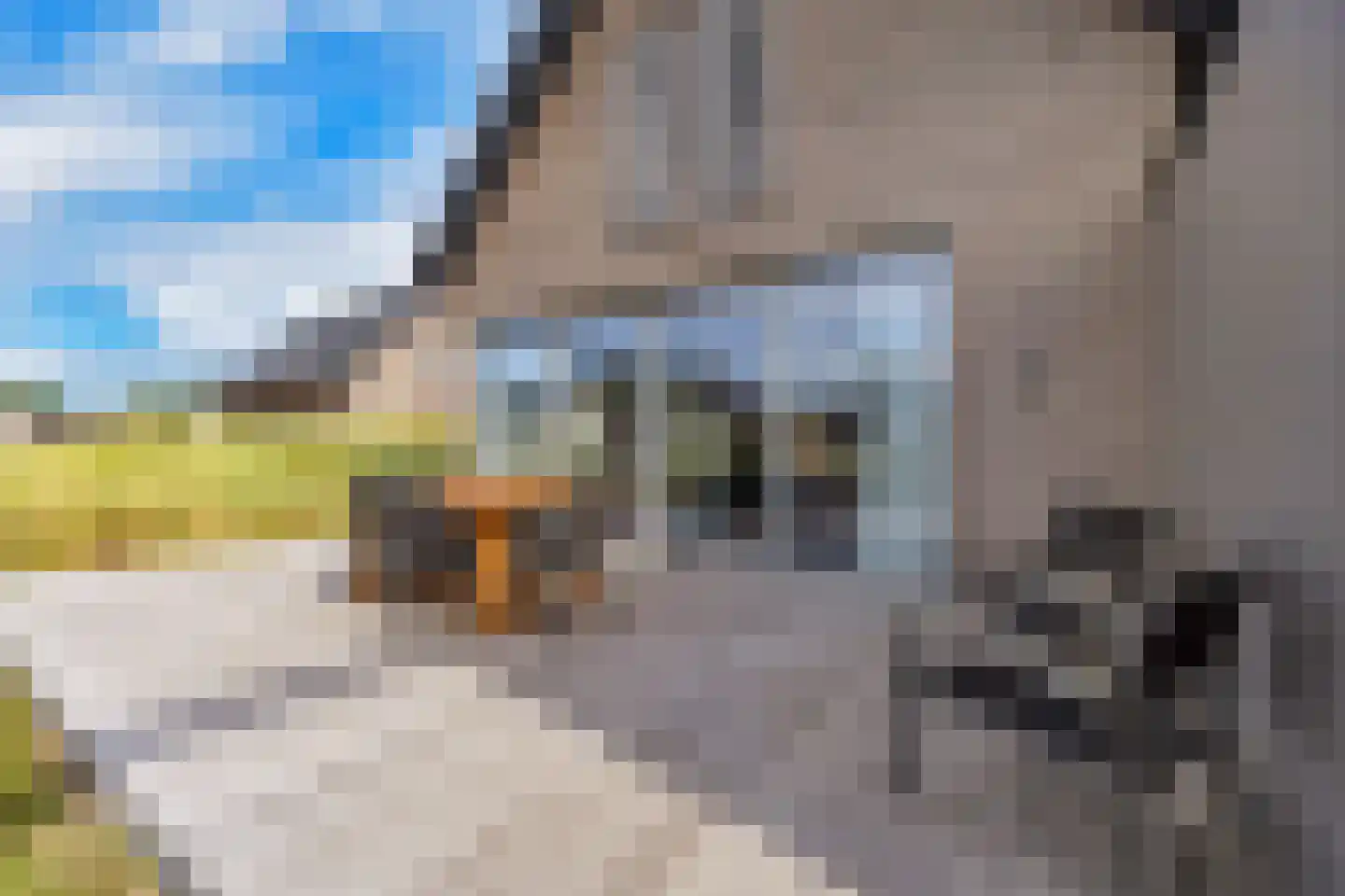 Ridderstee 124 Ouddorp thumbnail 31
