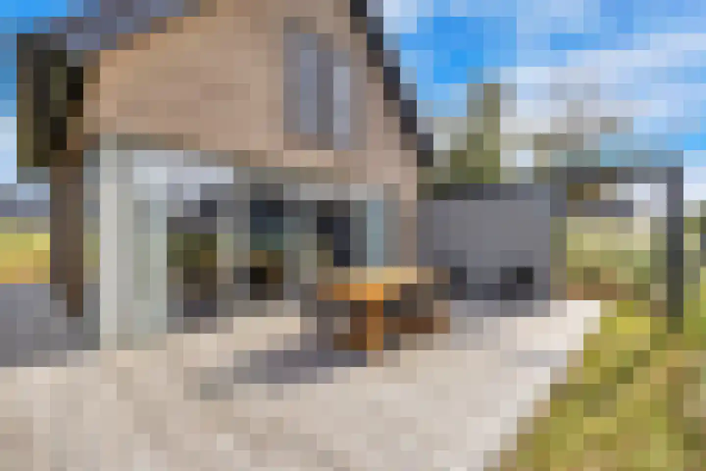 Ridderstee 124 Ouddorp thumbnail 33