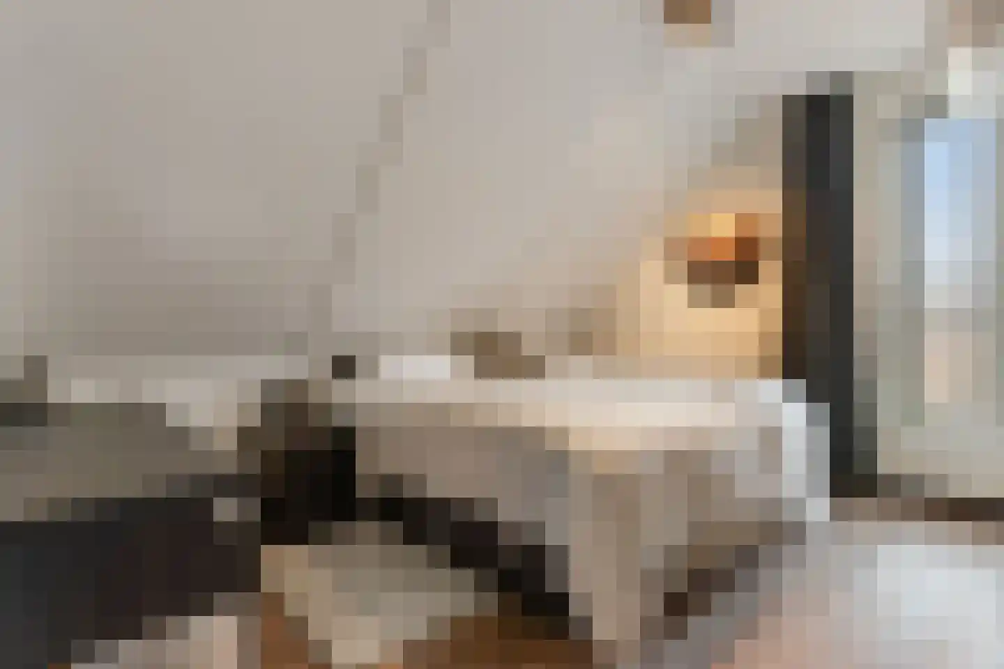 Ridderstee 138 Ouddorp thumbnail 31