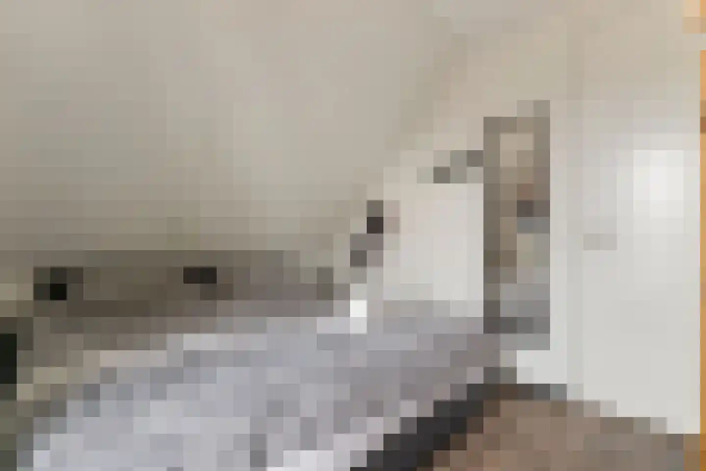 Ridderstee 138 Ouddorp thumbnail 35