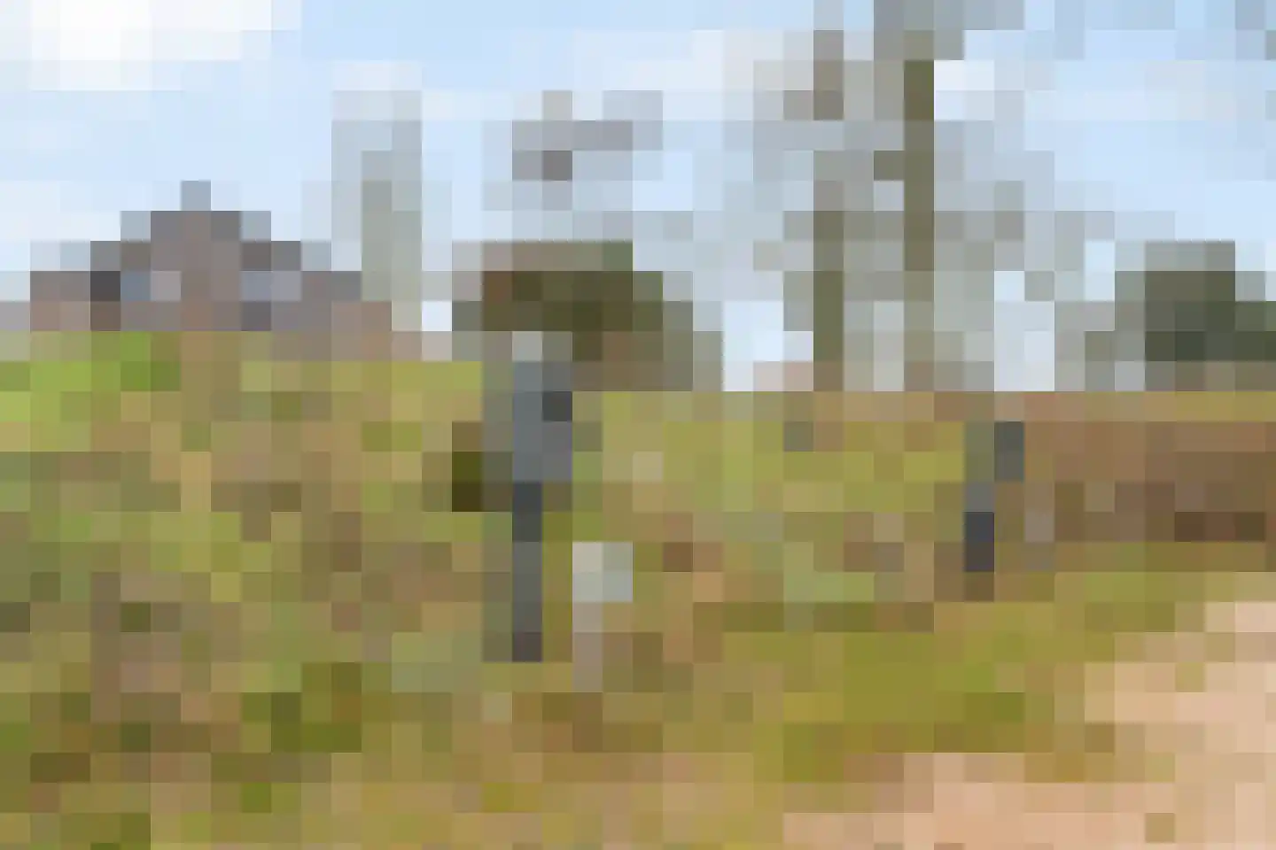 Ridderstee 138 Ouddorp thumbnail 48