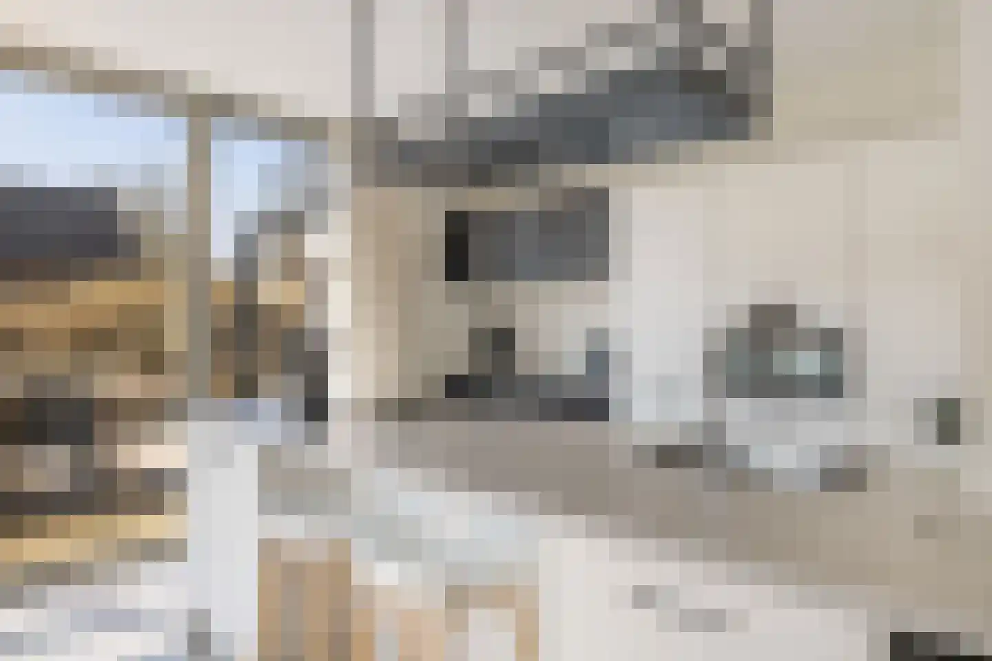 Ridderstee 202 Ouddorp thumbnail 16