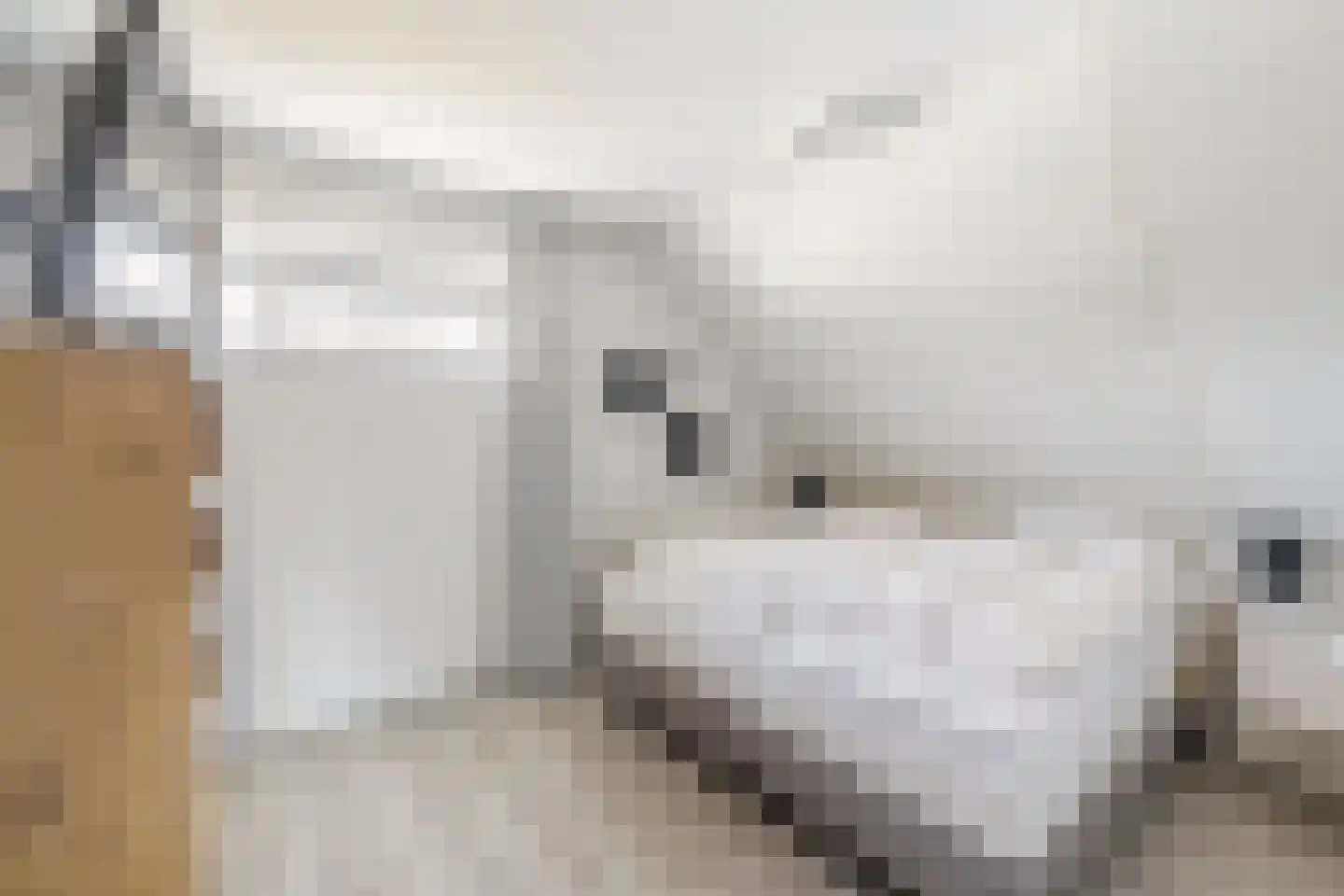 Ridderstee 202 Ouddorp thumbnail 18